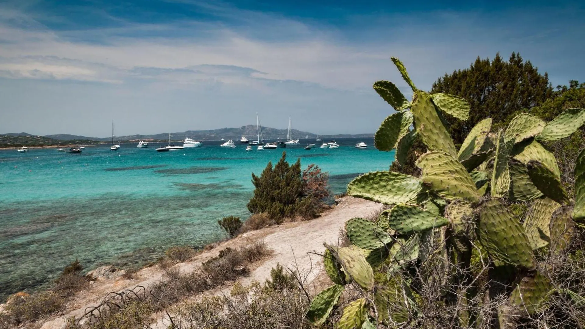 Villa Oleandri 50M From Seashore - Happy Rentals Golfo Aranci